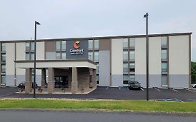 Comfort Inn & Suites Wyomissing-Reading